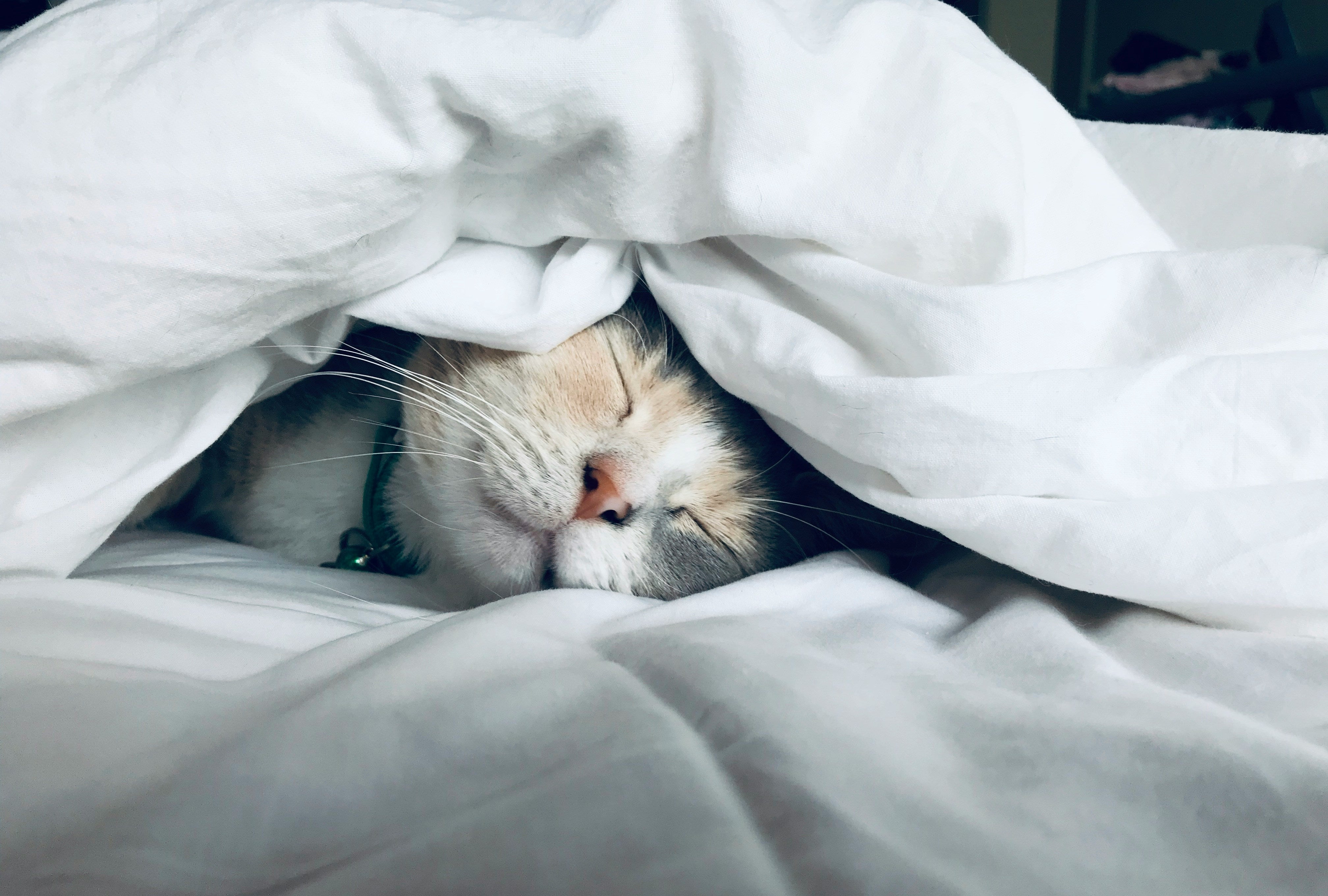 Stop Counting Hours: Manage Your Sleep Drive and Everything Else Gets Easier